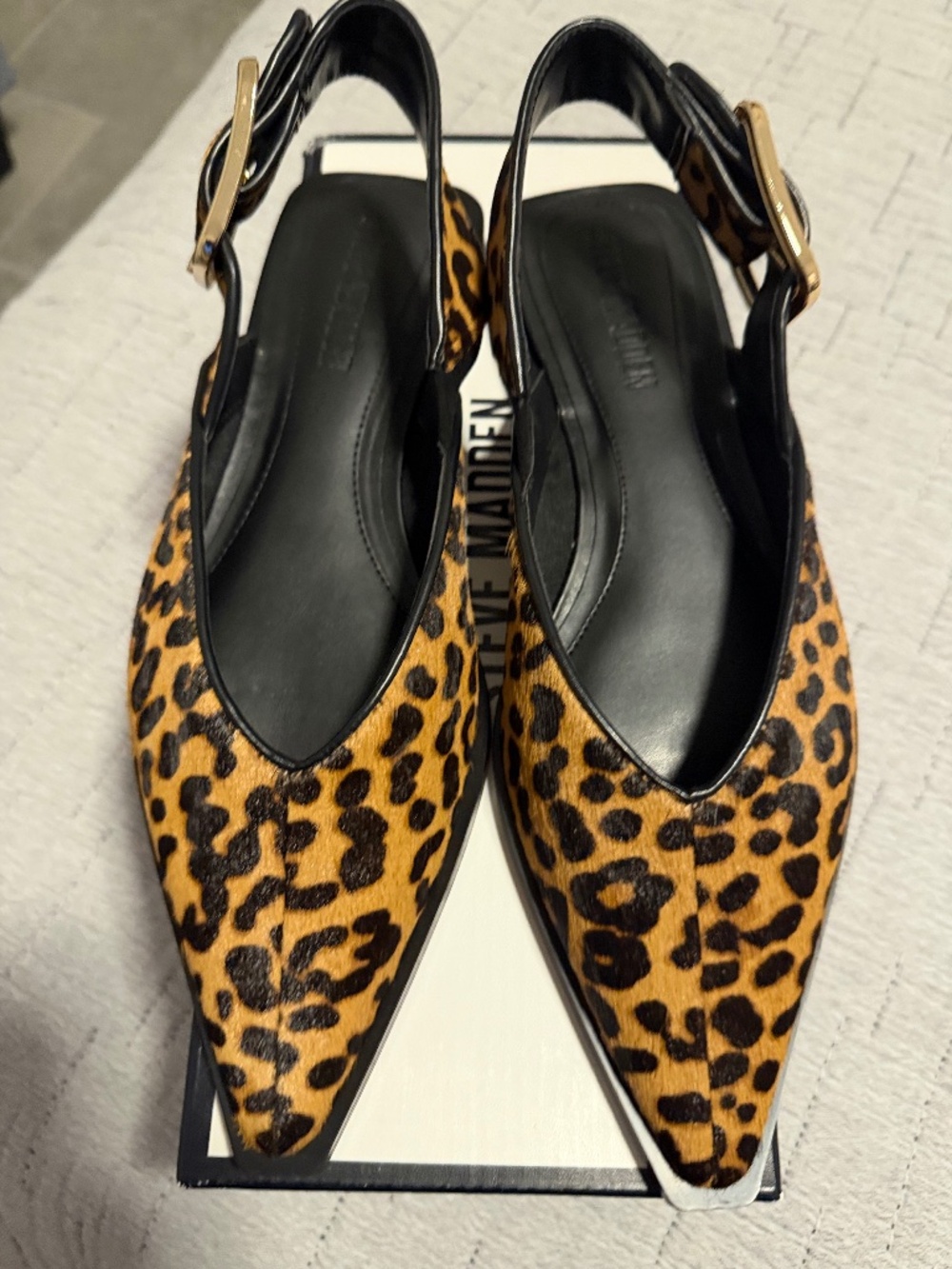 Steve Madden Shay-L Leopard Flat Size 8